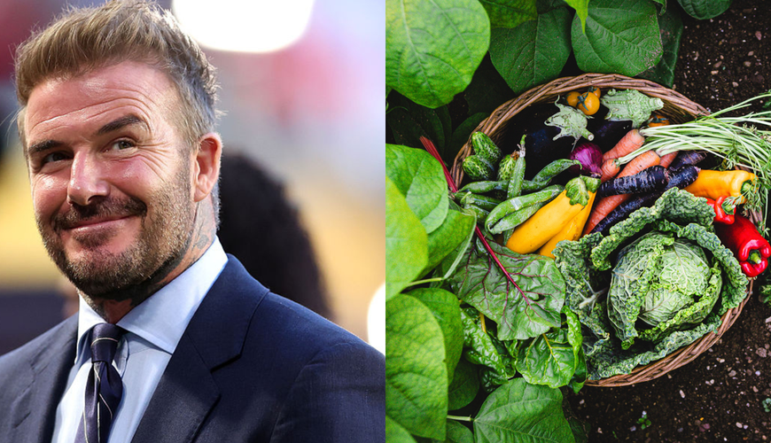 Green Thumbs of Hollywood: 7 Celebrities Obsessed with Their Gardens