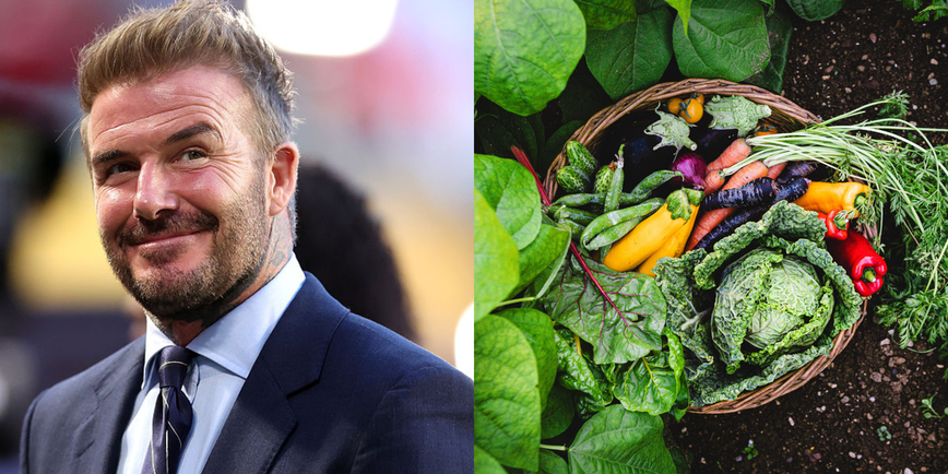 Green Thumbs of Hollywood: 7 Celebrities Obsessed with Their Gardens