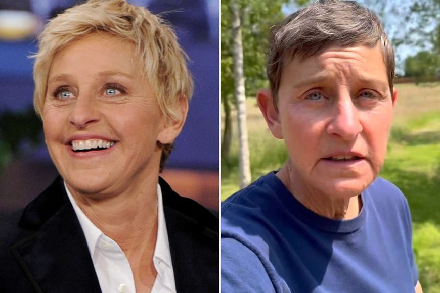 Ellen DeGeneres Comedian Celebrity