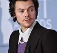 Harry Styles Rumored to Launch a Steamy New Sex Toy Line with Pleasing!