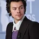 Harry Styles Rumored to Launch a Steamy New Sex Toy Line with Pleasing!