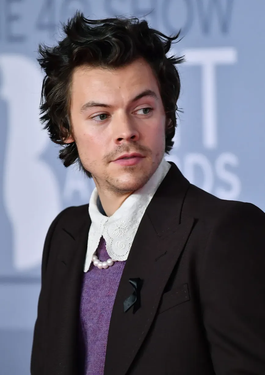 Harry Styles Rumored to Launch a Steamy New Sex Toy Line with Pleasing!