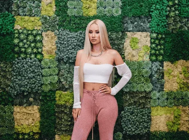 Iggy Azalea Celebrity