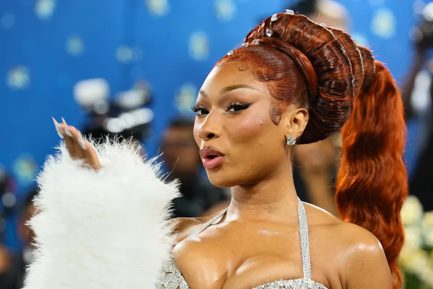 Megan Thee Stallion Celebrity
