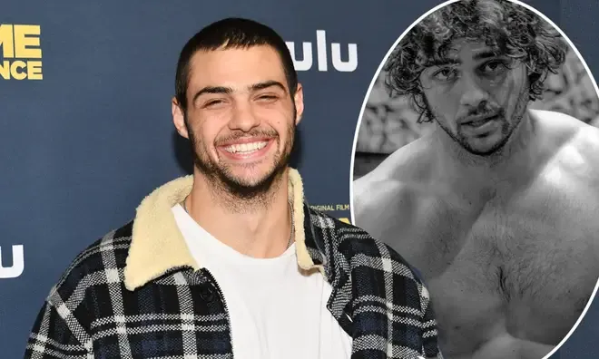Noah Centineo Celebrity