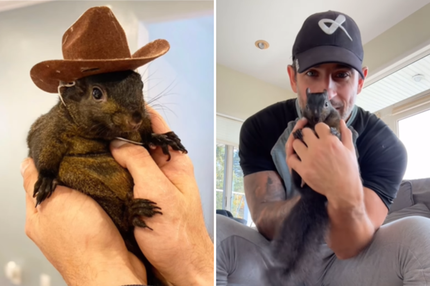 Peanut the Squirrel's Owners Seek $10M Over Death of 'Irreplaceable' Animal