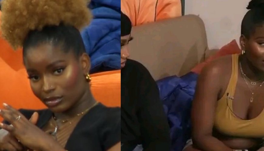 BBNaija S10: Isabella Spills the Tea on Scandalous Affair with a Married Man!