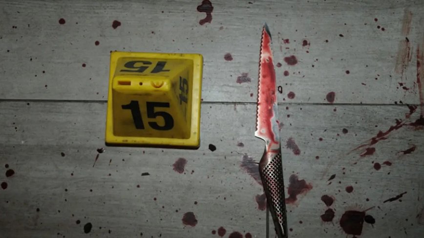Courtney Clenney's Legal Team Examines Crucial Knives in High-Profile Murder Trial