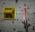 Courtney Clenney's Legal Team Examines Crucial Knives in High-Profile Murder Trial