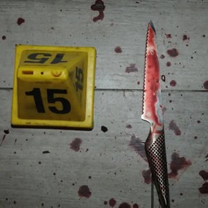 Courtney Clenney's Legal Team Examines Crucial Knives in High-Profile Murder Trial