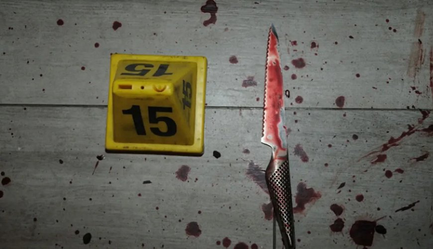 Courtney Clenney's Legal Team Examines Crucial Knives in High-Profile Murder Trial