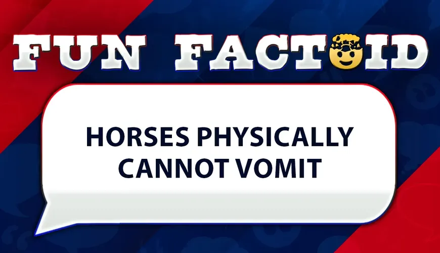 Fun Facts: Horses can't vomit