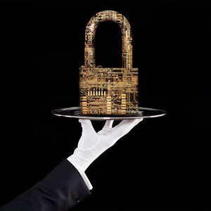 Guardians of the Digital Realm: How the Wealthy are Battling Cyber Crime