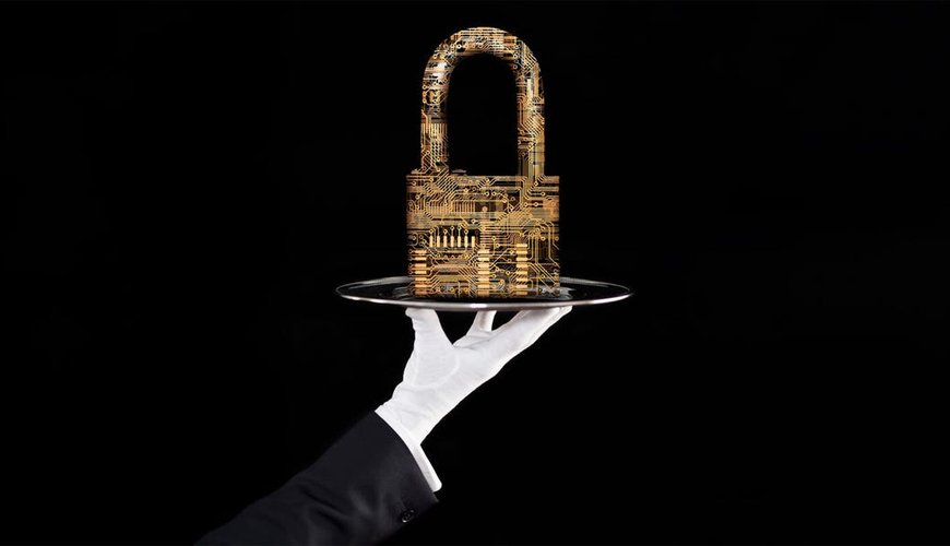 Guardians of the Digital Realm: How the Wealthy are Battling Cyber Crime