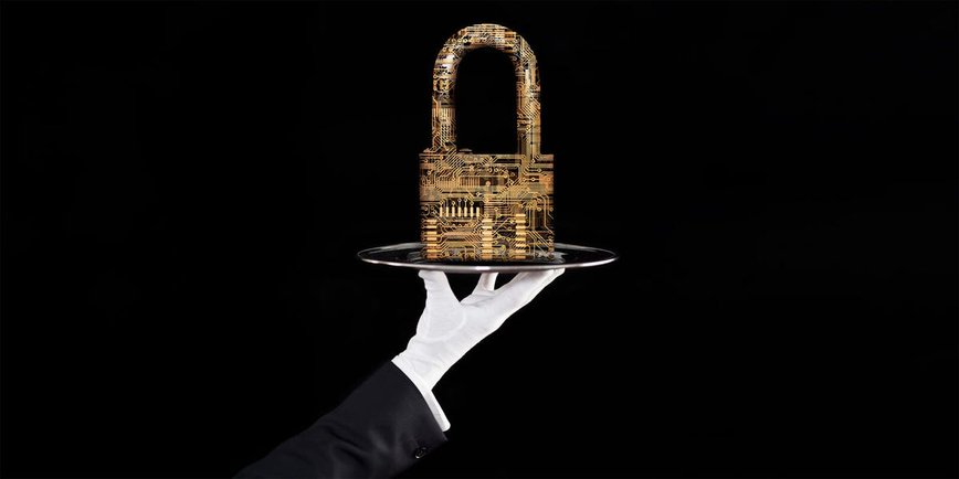 Guardians of the Digital Realm: How the Wealthy are Battling Cyber Crime