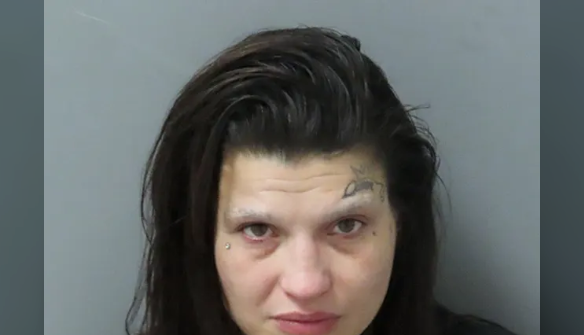 Tragic Encounter: Good Samaritan's Generosity Ends in Fatal Shooting