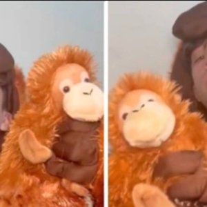 Whitexican's Punch Monkey Cosplay: Viral Hit or Nightmare Fuel?