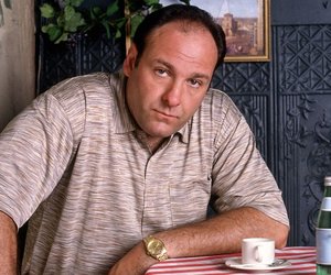 James Gandolfini's Last Hours: A Final Meal and Heartbreaking Sudden Loss