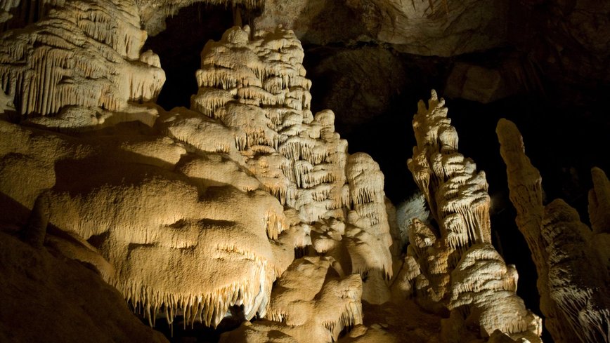 Discover Alabama's Rarest Secret: The Elusive Cavefish
